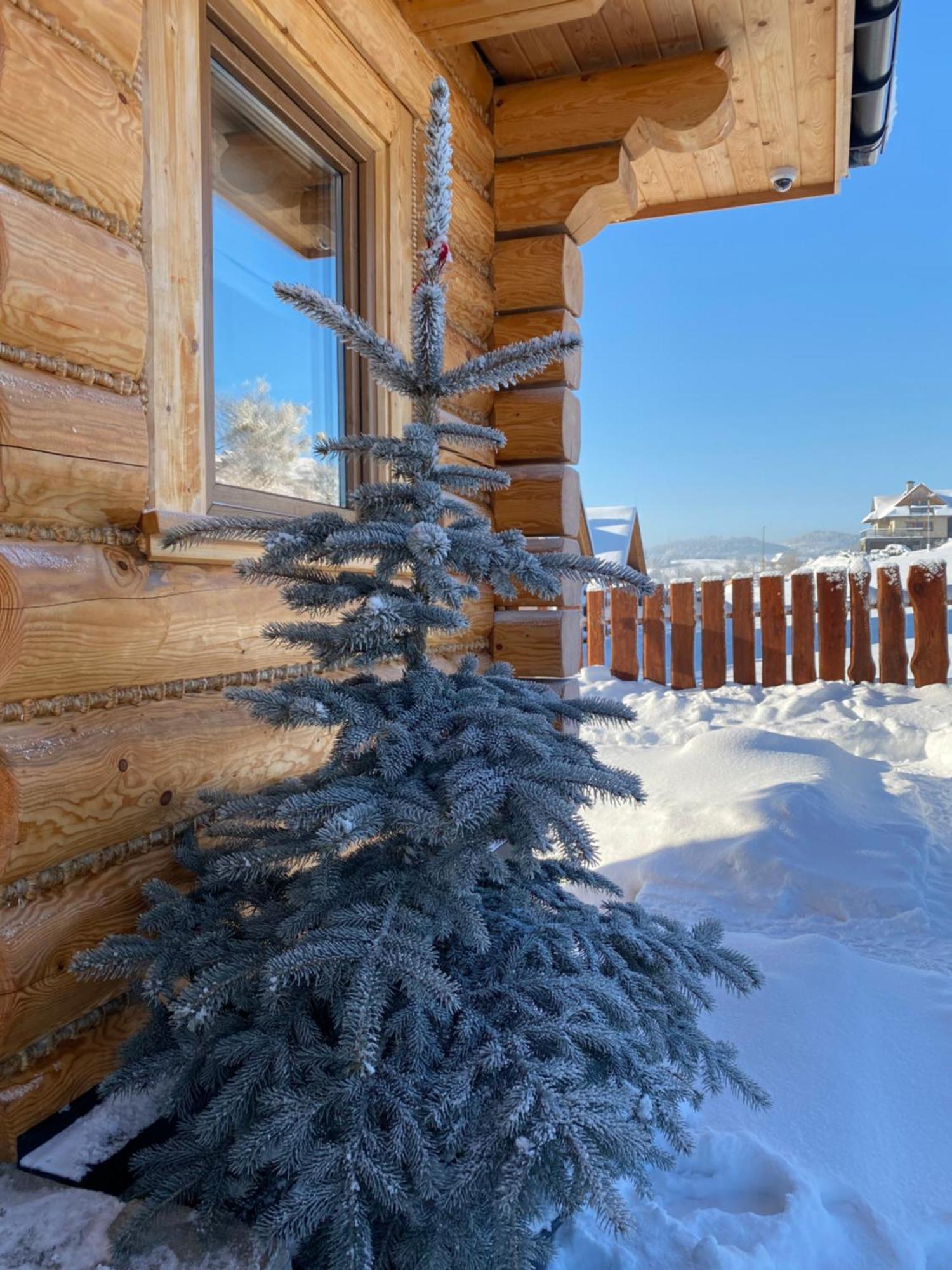 Zloty Gron Log Houses & Apartments Istebna Exterior photo